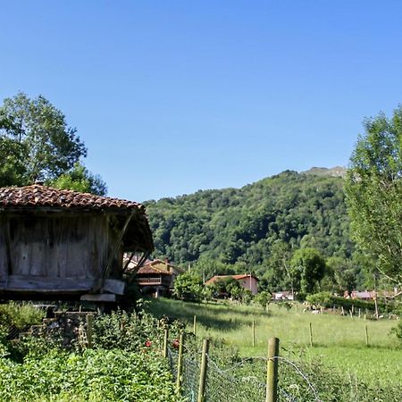 Casa Clarita Villa Caño Екстериор снимка