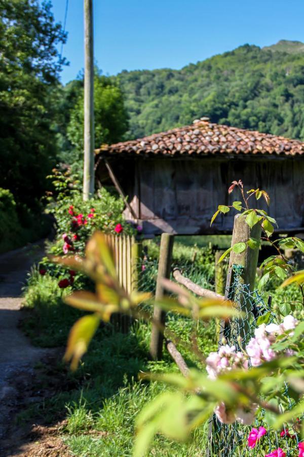 Casa Clarita Villa Caño Екстериор снимка